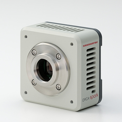 c11440-36u product photo